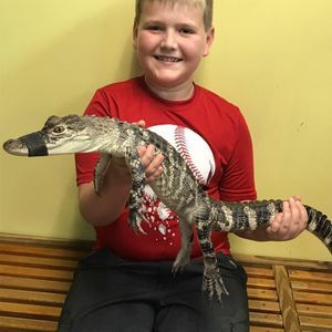 Meet your Posher, Julia